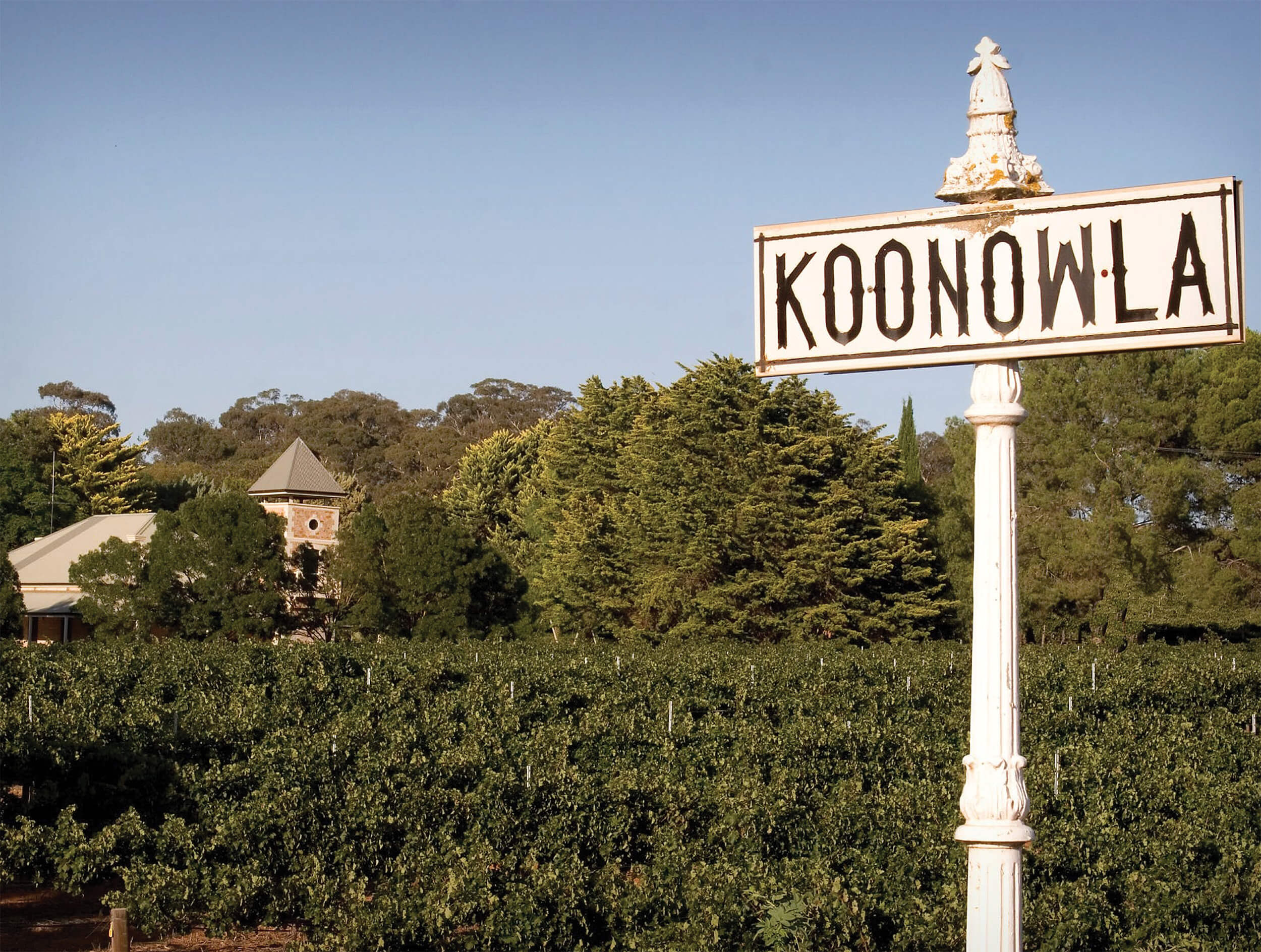 A Koonowla Estate sign set against a picturesque backdrop of lush vineyards.